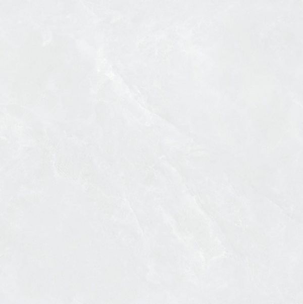 E0PR599XG产品图
