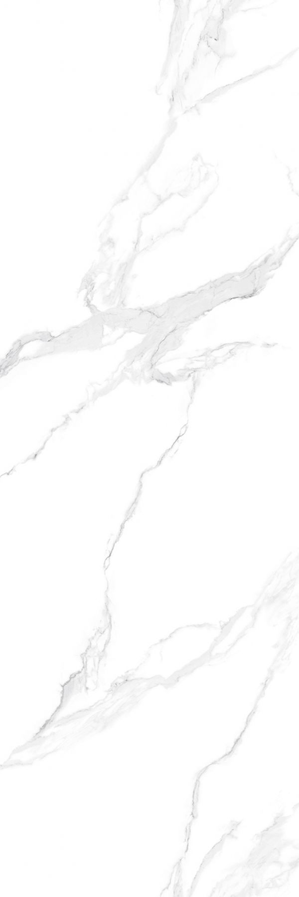 T9YVB149AG产品图