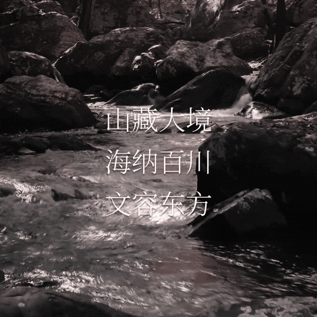 2-24040115594U50.gif