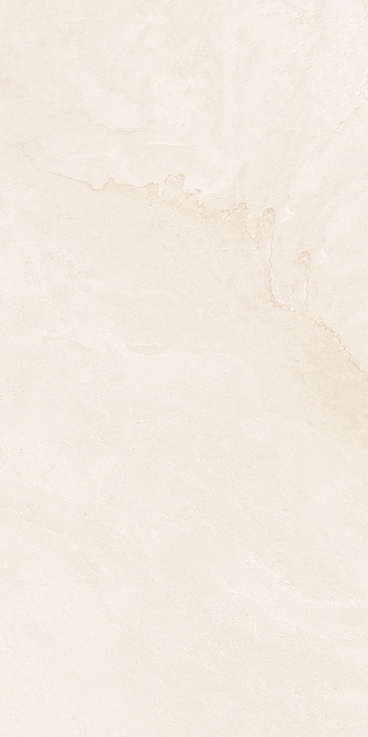 K8KEP1596RG产品图